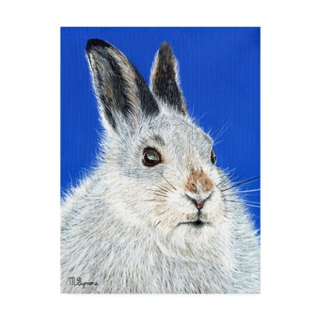 Trademark Fine Art